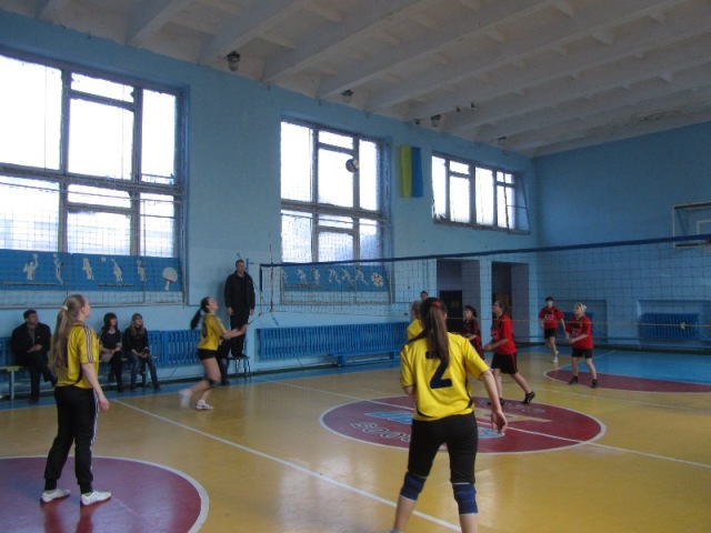 Городские соревнования по волейболу среди девушек