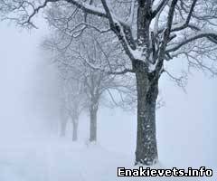 Арктический циклон уже в Донбассе: с завтрашнего дня Донецкую область начнет засыпать снегом