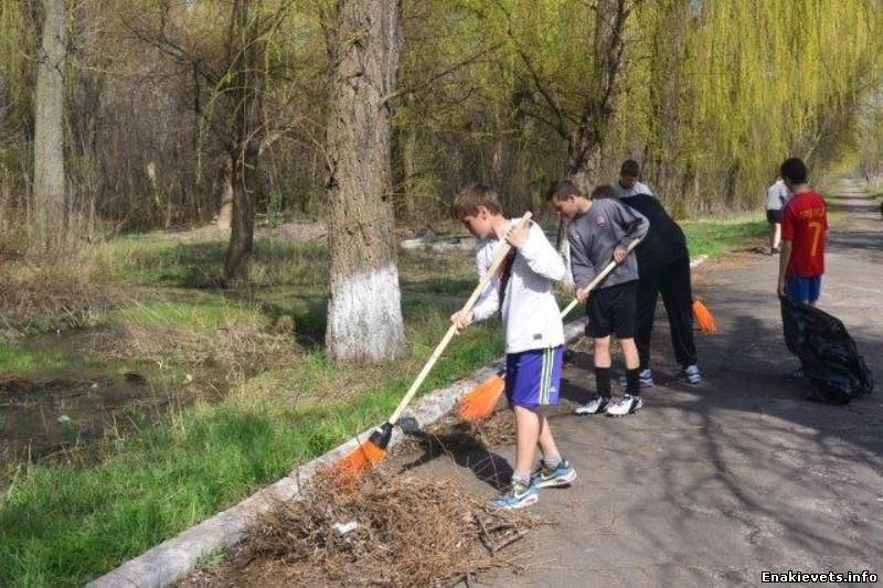 В Енакиево стало на 50 деревьев больше