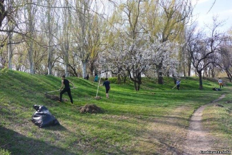 В Енакиево стало на 50 деревьев больше