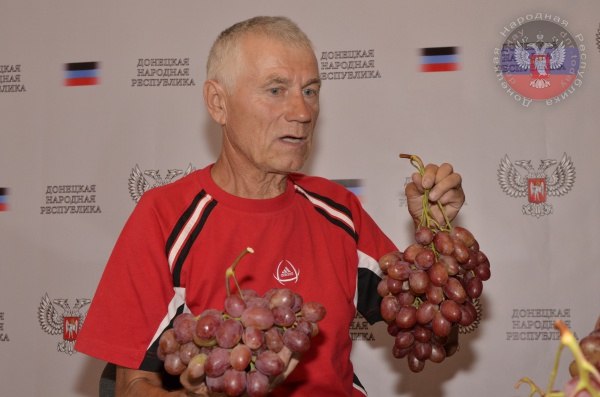 Фермер назвал новый сорт винограда «Новороссией»
