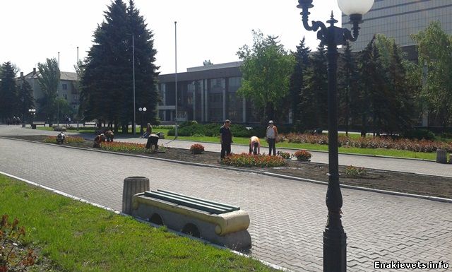 Центральную площадь Енакиево украсили цветочной композицией