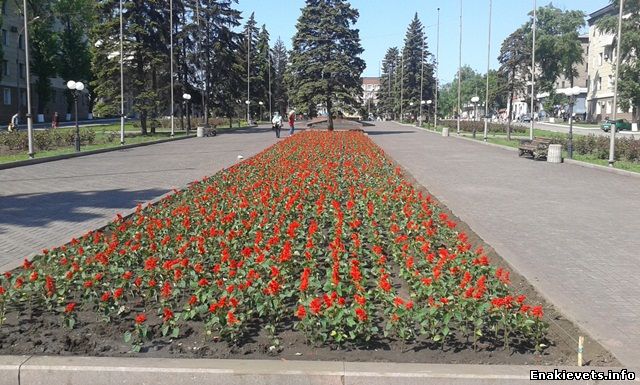 Центральную площадь Енакиево украсили цветочной композицией