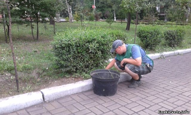 Озеленители помогают поддерживать порядок на центральных улицах и скверах Енакиево