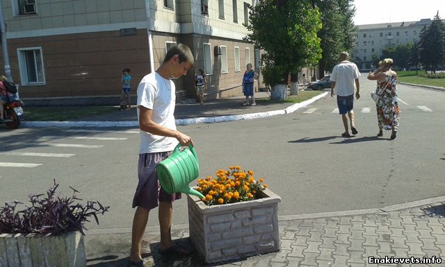 Озеленители помогают поддерживать порядок на центральных улицах и скверах Енакиево