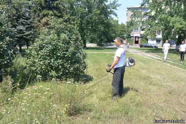 Волонтеры «Зеленого центра» вышли на борьбу с карантинной травой