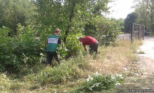 Специалисты «Зелёного центра» преображают Енакиево