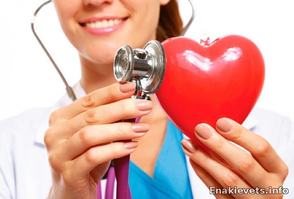 Эпидемию сердечно-сосудистых заболеваний остановит профилактика