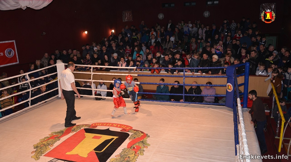 Открытый кубок Донецкой Народной Республики по кикбоксингу среди детей младшей возрастной категории (2006-2007 и 2008-2009 годов рождения).
