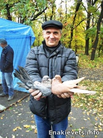 Выставка-ярмарка голубей и других любимых питомцев